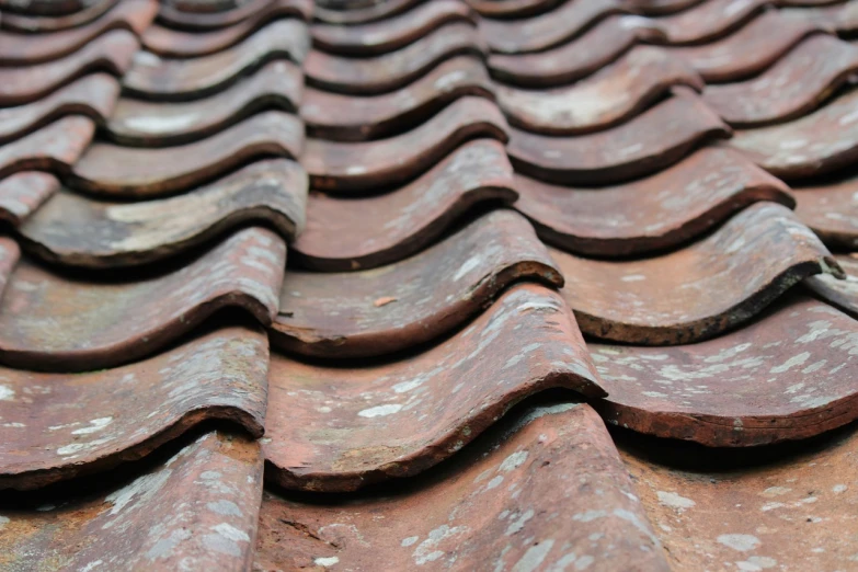 a close up view of a tiled roof, by Bernardino Mei, shutterstock, sludge, très détaillé, unwind!, childhood