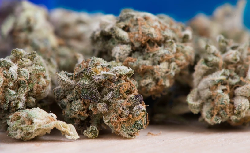 a pile of marijuana sitting on top of a wooden table, fantastic realism, zoomed in, blueberry, profile picture, grizzled