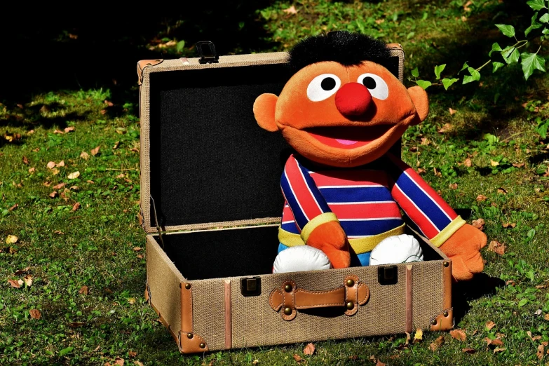 a stuffed animal sitting inside of a suitcase, a stock photo, by Edward Corbett, happening, sesame street, !anthropomorphic!, 🚿🗝📝, summer morning