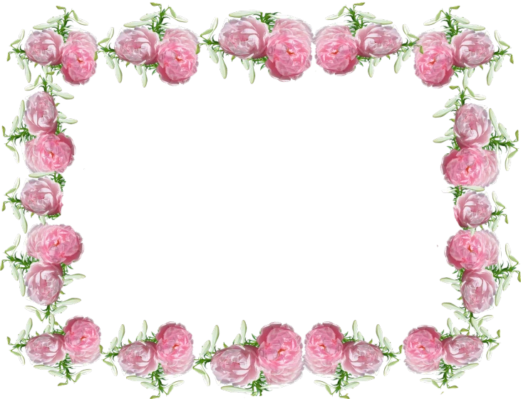 a square frame of pink roses on a black background, a digital rendering, medium long shot, carnation, image dataset, iron frame