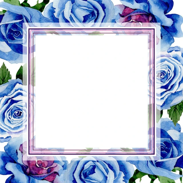 a frame with blue roses on a white background, a watercolor painting, shutterstock, magenta and blue, squared border, brochure, 2 d cg