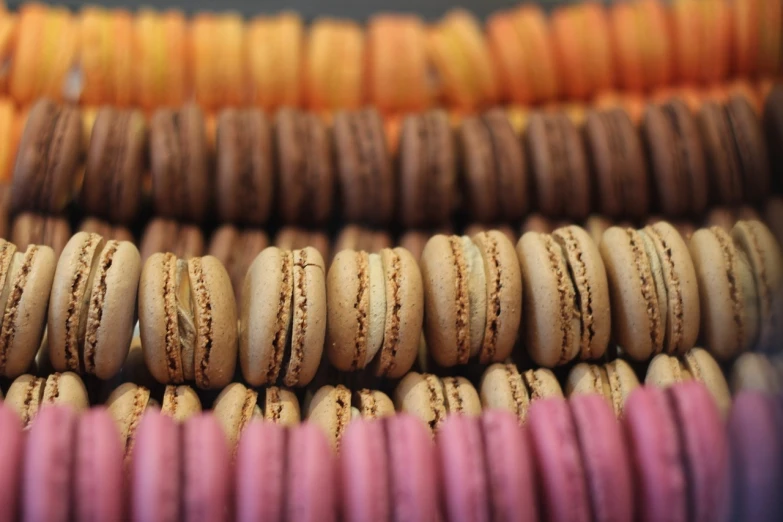 a bunch of macarons stacked on top of each other, a macro photograph, brown colours, in a row, hyperdetailed colourful, straw