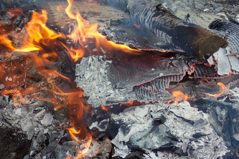 a pile of wood sitting on top of a fire, a photo, by Rodney Joseph Burn, auto-destructive art, flaring gills and baleen, shark, torn paper smouldering smoke, sergey krasovskiy