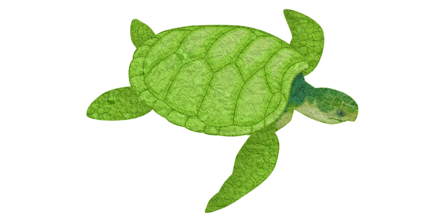 a close up of a green turtle on a black background, a digital rendering, inspired by Masamitsu Ōta, path traced, seams, with seaweed, wooden