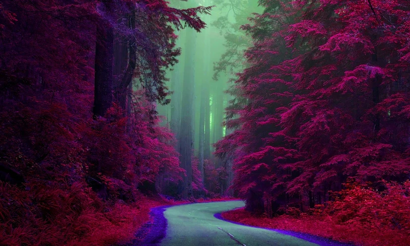 a winding road in the middle of a forest, a photo, tumblr, romanticism, purple and red color bleed, beautiful screenshot, phone wallpaper hd, extremely beautiful and ethereal
