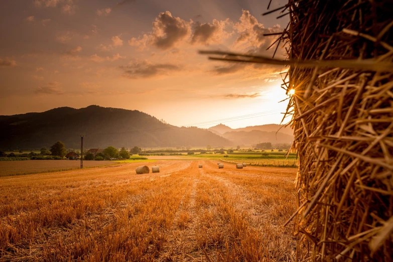 a field with hay bales and mountains in the background, a picture, shutterstock, warm golden backlit, amazing color photograph, in the spotlight, in a scenic background