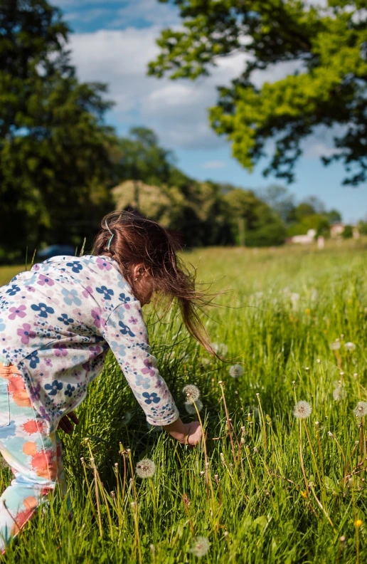 a little girl playing with dandelions in a field, inspired by William Stott, pexels, shot in canon 50mm f/1.2, sunday afternoon, gardening, grazing