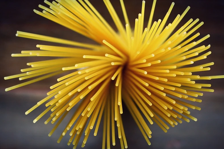 a close up of a bunch of spaghetti noodles, by Jan Rustem, rasquache, yellow volumetric fog, thin spikes, sponge, perfect detail