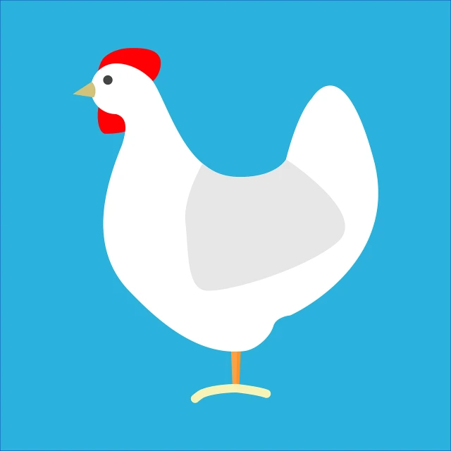 a white chicken with a red head on a blue background, flat drawing, smooth shank, farm, simple shape