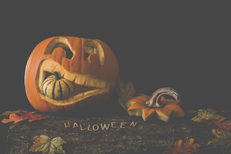 a carved pumpkin sitting on top of a pile of leaves, a portrait, shutterstock, horror saw teeth, advertising photo, stylized photo, stock photo