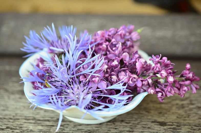 a white bowl filled with purple flowers on top of a wooden table, by Zofia Stryjenska, pexels, vanitas, istockphoto, purple and blue colored, herbs, lilac hair