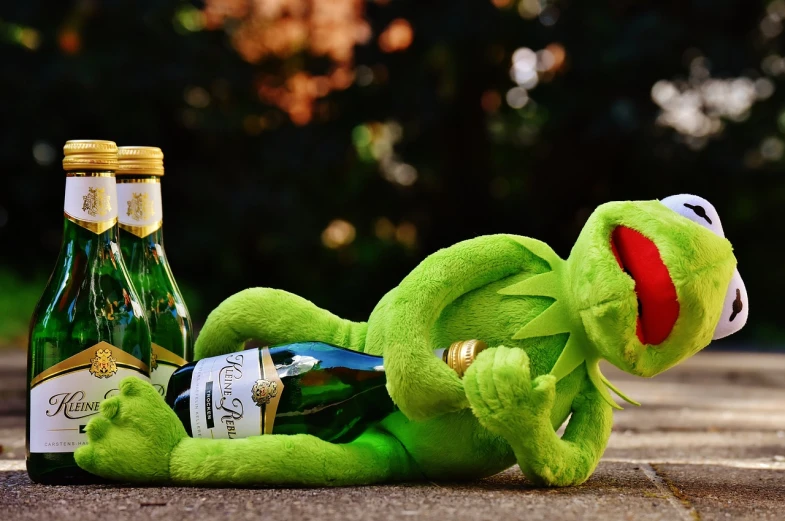 a stuffed animal laying on the ground next to a bottle of beer, by Werner Gutzeit, pexels, happening, kermit the frog, wine, drunk woman, muppet