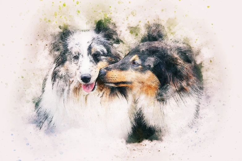 a couple of dogs standing next to each other, a digital painting, shutterstock, art photography, watercolor effect, kissing each other, aussie, high detail impressionist style