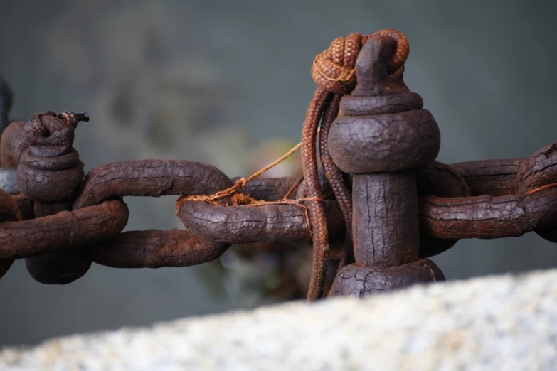 a close up of a chain with a bird on it, a macro photograph, by Anna Haifisch, unsplash, assemblage, boat, rusty pipes, blockchain, wrought iron