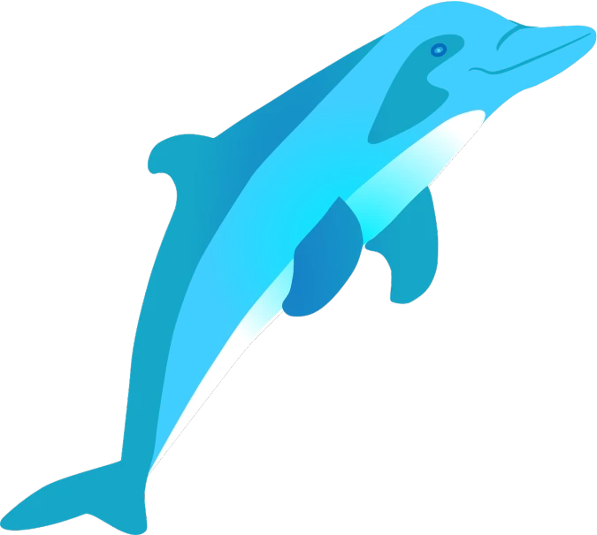 a dolphin jumping out of the water, an illustration of, hurufiyya, blue and cyan colors, looking from side and bottom!, front facing shot, blue colored