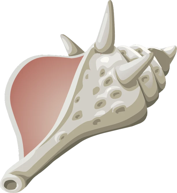a close up of a conch shell on a black background, an illustration of, triceratops, full color illustration, bump in form of hand, clipart