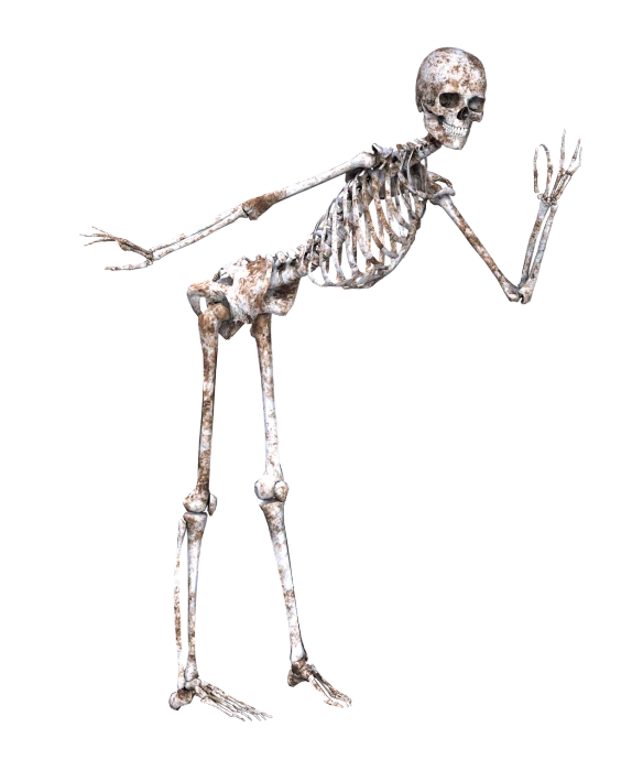 a close up of a skeleton on a black background, a digital rendering, by Muirhead Bone, fine art, full body sarcastic pose, 7 feet tall, -h 1024, bronze