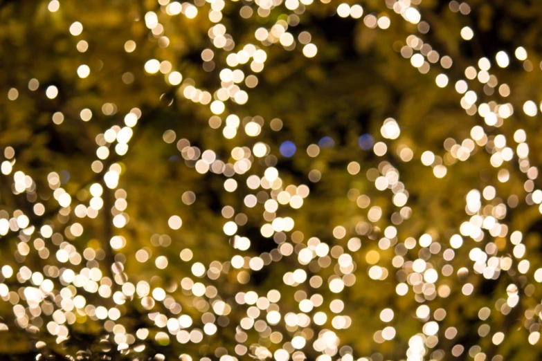 a close up of a bunch of lights on a tree, gold speckles, light scatter, heavenly lighting, vanilla - colored lighting