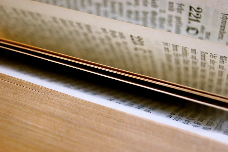 an open book sitting on top of a wooden table, a woodcut, unsplash, mingei, close - up profile, brass sheet, really long, readability