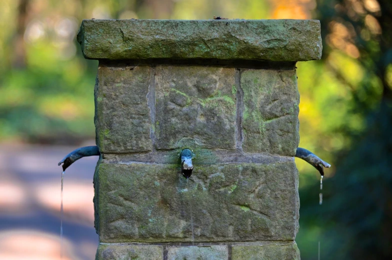 a bird is drinking water from a fountain, inspired by William Dring, graffiti, closeup photo, stone bridge over brook, block head, 1 8 2 7