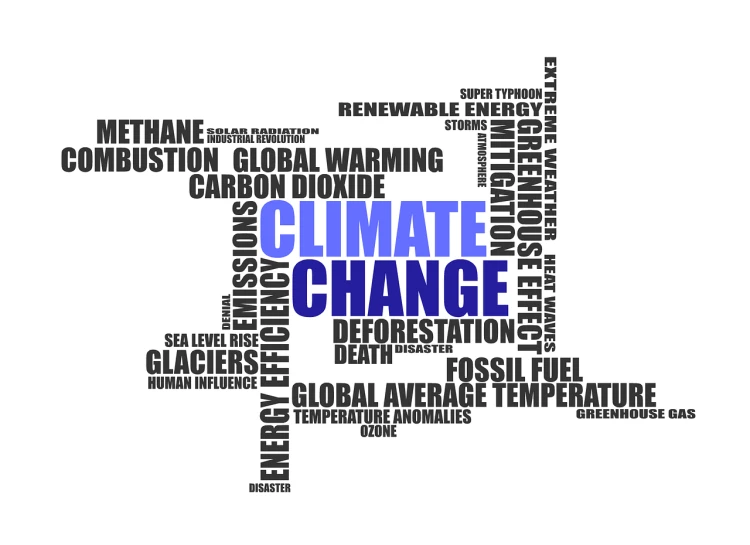 a word cloud with the words climate change in different languages, a photo, by Whitney Sherman, trending on pixabay, stock photo, chamber, compressed jpeg, toronto