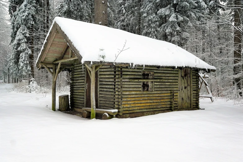 a small cabin in the middle of a snowy forest, a photo, renaissance, bathhouse, closeup photo, wikimedia, damp