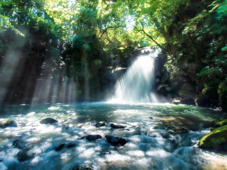 a waterfall flowing through a lush green forest, a picture, by Tadashige Ono, shutterstock, sun rays shine through the water, vivid!!, lensflare, slow shutter