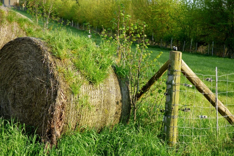 a hay bale sitting on top of a lush green field, inspired by David Ramsay Hay, flickr, overgrown garden environment, fence, spring vibrancy, conglomerate!