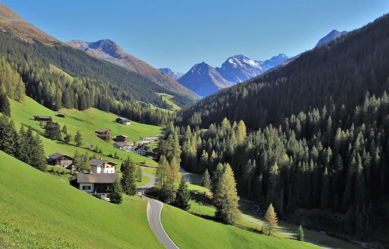a road winding through a lush green valley, by Werner Andermatt, renaissance, wikimedia commons, alpine architecture, autum, spruce trees on the sides