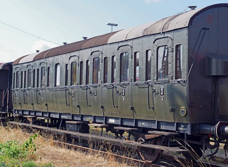 a close up of a train on a train track, art nouveau, deteriorated, side view profile, carriage, panoramic