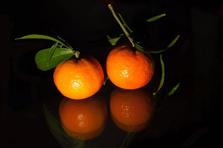 two oranges sitting next to each other on a table, a still life, by Jan Rustem, pixabay, image full of reflections, shot at dark with studio lights, stock photo, orange plants