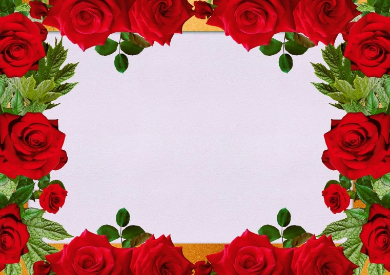 a frame with red roses and green leaves, a picture, by Tadashi Nakayama, tumblr, background image, composite, product introduction photo