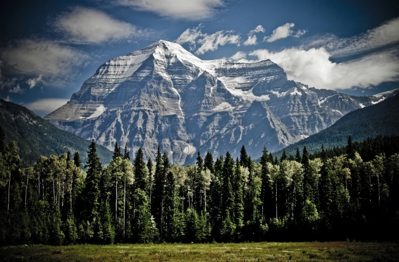 a horse grazing in a field in front of a mountain, a tilt shift photo, by Andrew Domachowski, huge incredibly immense trees, canada, chris moore”, giant imposing mountain