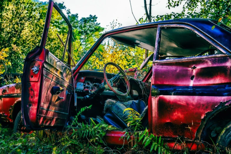 a man sitting in the driver's seat of an old car, by Richard Carline, auto-destructive art, red forest, full view of a car, resting, green and red