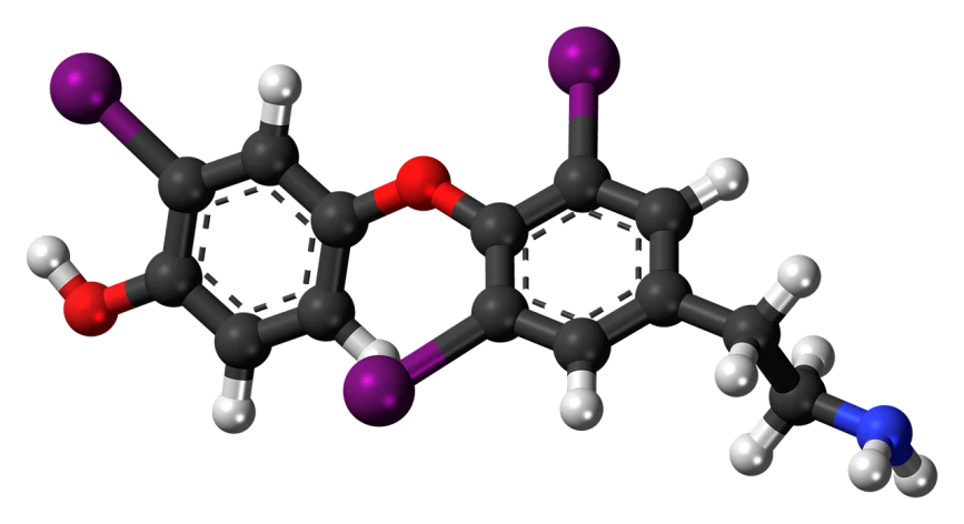 a close up of a molecule on a black background, a raytraced image, polycount, red and purple coloring, in style of monkeybone, family photo, taking mind altering drugs