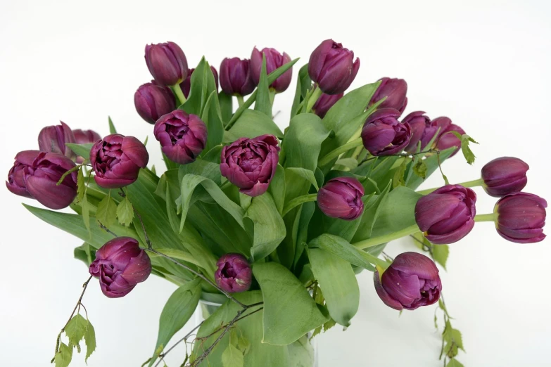 a vase filled with purple tulips sitting on a table, inspired by François Boquet, romanticism, close-up product photo, detailed zoom photo, purple foliage, high view