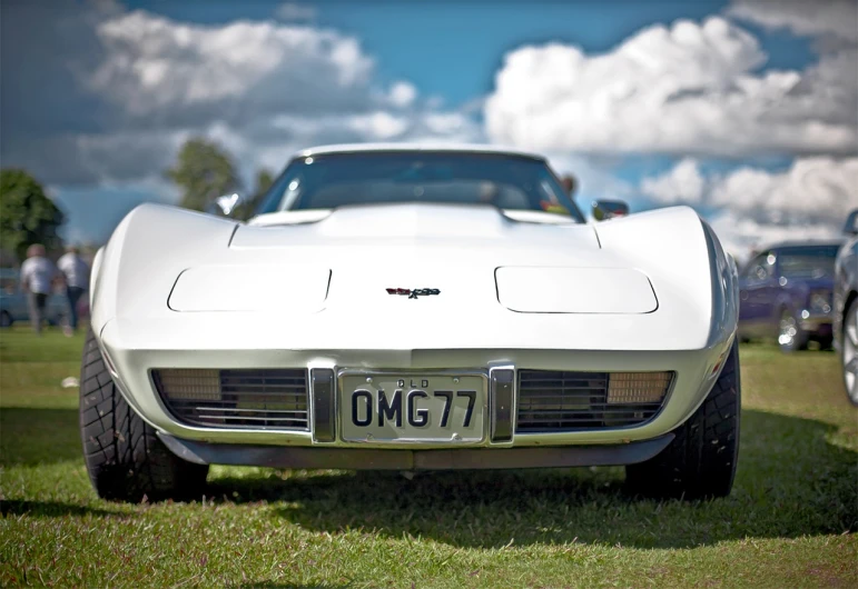 a white corvette sitting on top of a lush green field, a photo, by Tom Bonson, 'groovy', front closeup, omg, stingray