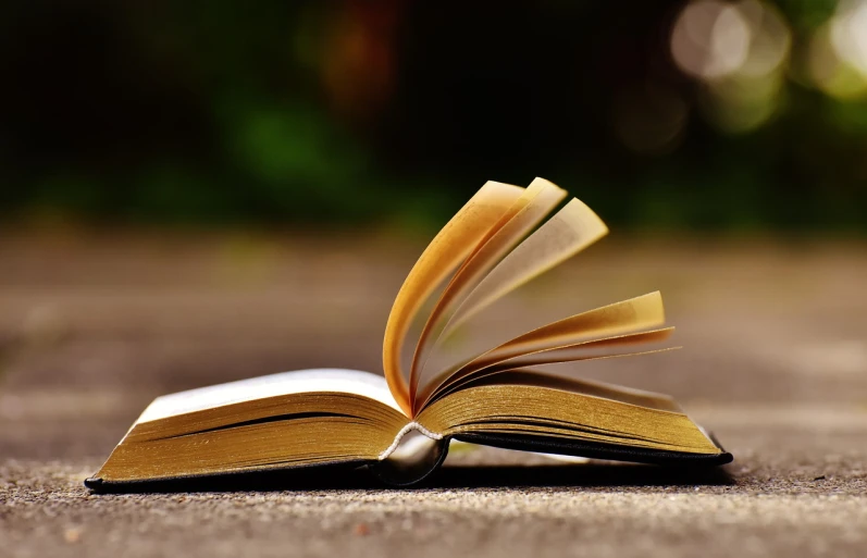 an open book is laying on the ground, a picture, pixabay, realism, slightly blurred, photograph credit: ap, dialogue, rotating