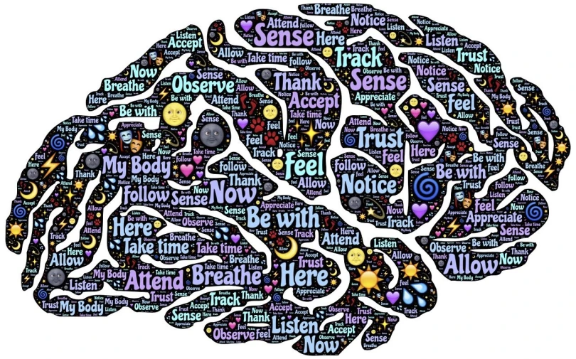 a drawing of a brain made up of words, a photo, by Jeanna bauck, trending on pixabay, having a good time, serene emotions, neurological marvel, psychedelic and glittering