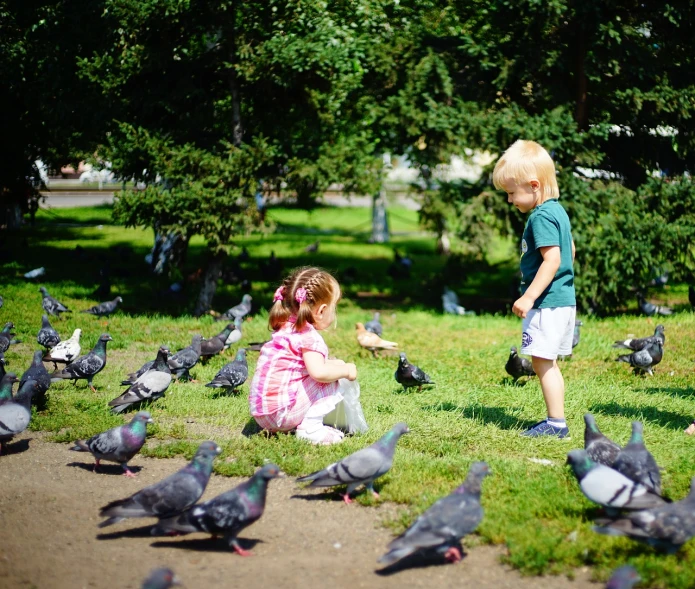 a boy and a girl feeding pigeons in a park, a picture, by Maksimilijan Vanka, shutterstock, swarming with insects, tourist photo, toddler, in russia