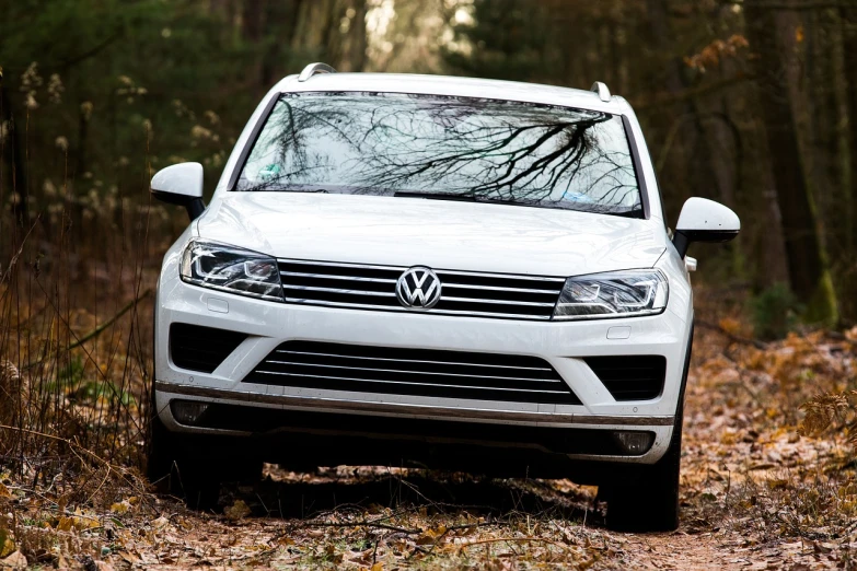 a white volkswagen suv parked in the woods, shutterstock, extremely detailed frontal angle, closeup photo, long muzzle, outdoor photo