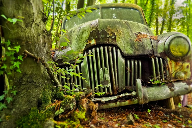 an old car that is sitting in the woods, by Alexander Bogen, pixabay contest winner, photorealism, photorealism. trending on flickr, sickly green colors, the trees are angry, bottom angle