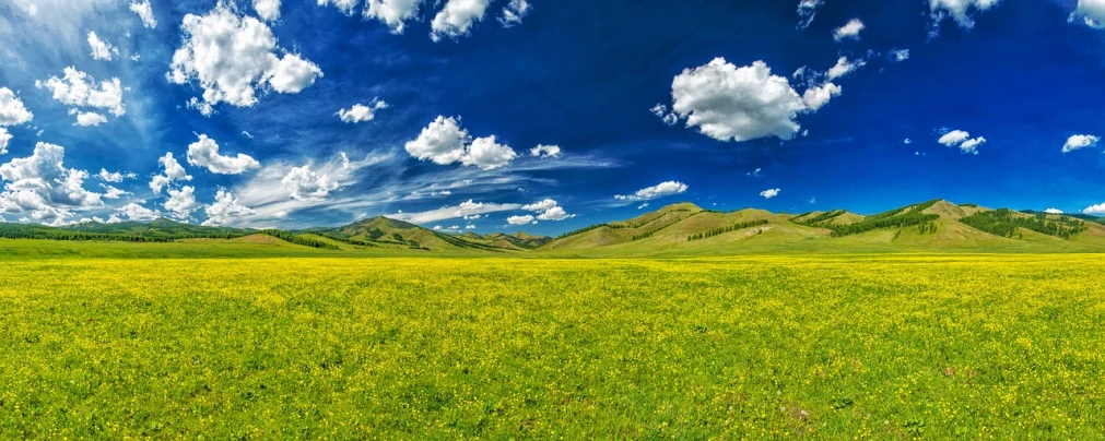 a field of green grass with mountains in the background, a picture, by Muggur, flickr, color field, yellow clouds, nezha, background of flowery hill, wide open space