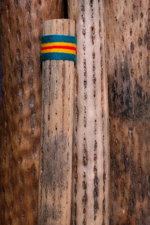 a couple of sticks sitting next to each other, a portrait, inspired by Jan Rustem, flickr, rastafarian, texture detail, baseball bat, kuntilanak on tree