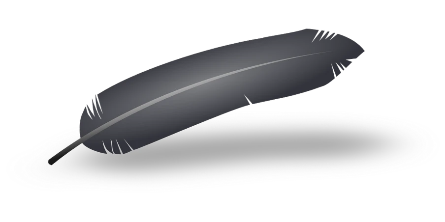 a close up of a shoe with a feather on it, inspired by Slava Raškaj, polycount, hurufiyya, black backround. inkscape, a folding knife, smooth oval head, solid gray