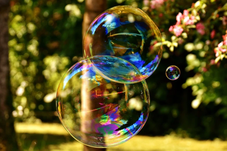 a couple of soap bubbles sitting on top of a lush green field, a picture, pixabay, romanticism, party balloons, 🚀🌈🤩, crystal-clear-focus, avatar image