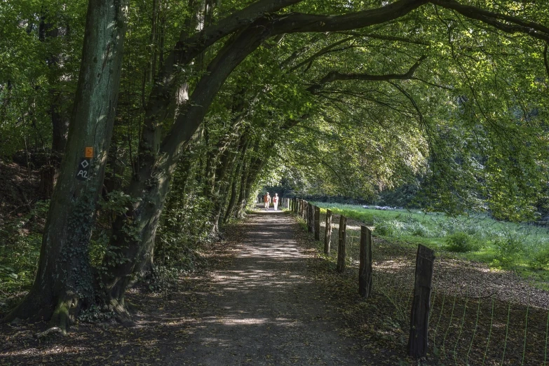 a couple of people that are walking down a path, a picture, by Richard Carline, lower saxony, shady, afternoon hangout, esher