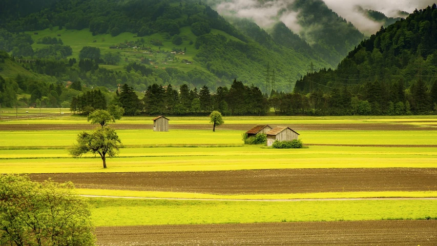 a field with a small house in the middle of it, by Karl Gerstner, pixabay, photo of zurich, green and yellow colors, mountainous area, rule of thirds composition