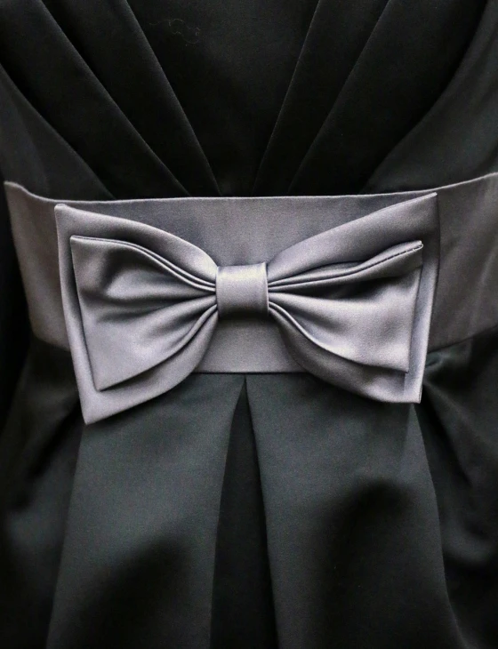 a close up of a bow tie on a dress, by Steven Belledin, bauhaus, black dress with belt, hues of subtle grey, impressive detail : 7, macro