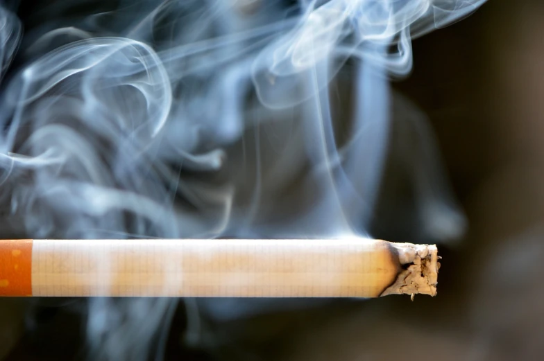 a cigarette with smoke coming out of it, shutterstock, closeup photo, waiting to strike, close up photo, educational